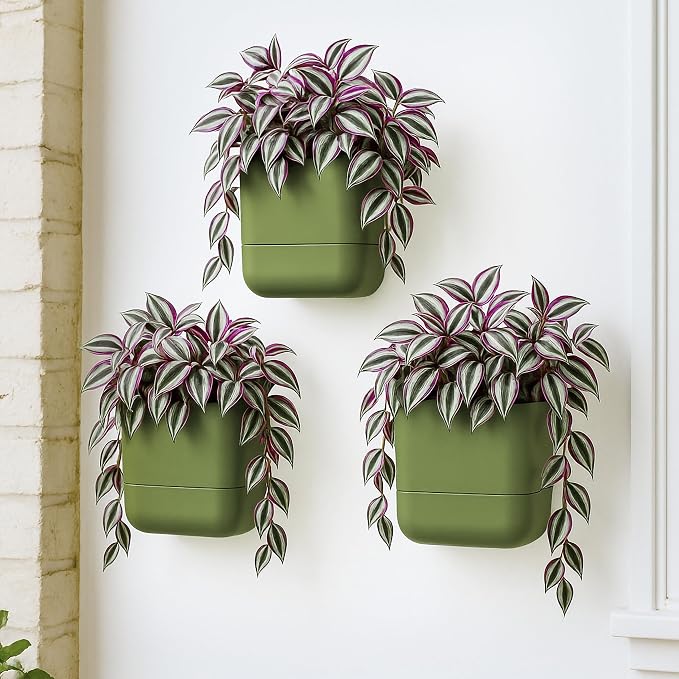 Phoenix Vine 6.5 Inch Wall Mounted Self-Watering Planter Pot for Indoor Houseplants and Herbs | Hanging Planter for Window Sills, Bathroom Walls, Home & Office Décor, Olive, Set of 3, 01-C-F-3