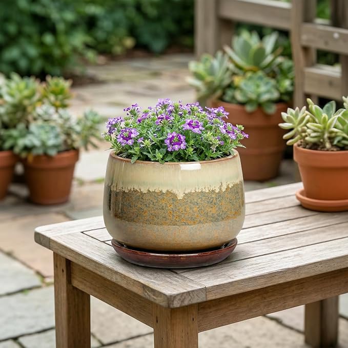6 Inch Plant Pot - Ceramic Pots for Indoor Plants, Round Small Succulent Planter with Drainage and Saucer, Decorative Flower Pot, Office Room Decor, Gifts for Plant Lovers, Brown-Beige