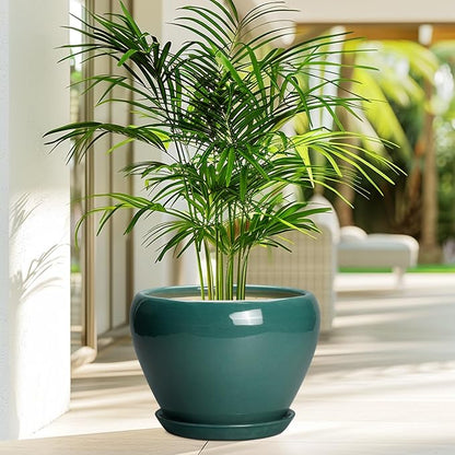 Ceramicfor Ceramic Planter for Indoor Plants 10 Inch - Ceramic Plant Pot with Drainage Hole and Saucer, Glaze Round Modern Decorative Planter, Plant Lover Gifts, Home Room Office Decor, Green