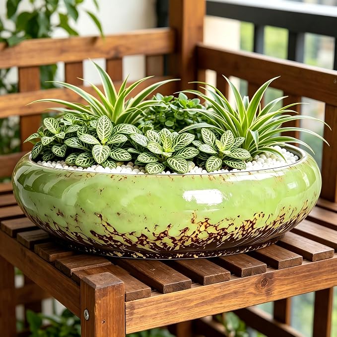 Succulent Pots, 10 Inch, Shallow Planter with Drainage for Succulent Planters, Bonsai Pots & Cactus Pots, Plant Pots, Ceramic Planters for Indoor Plants - Perfect for Home Offie Garden Decor, Green