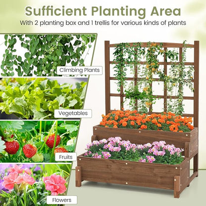 DREAMADE Fir Wood Raised Garden Bed with Trellis, 2-Tier Wooden Elevated Planter Box w/Drainage System, Garden Trellis for Flower, Vegetable, Fruit & Herb (2)