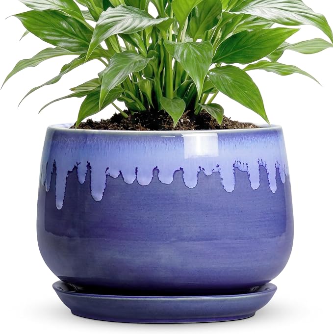 Ceramic Flower Pots - 7 Inch Indoor Planter with Drainage Hole and Saucer, Decorative Unique Flower Pot for Indoor Plants, Round Plant Pots, Office Patio Decor, Garden Gifts Women, Blue