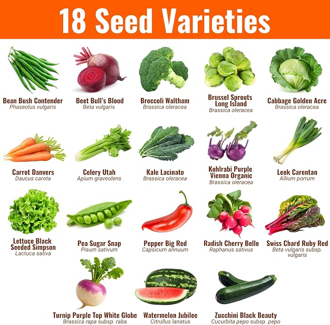 Open Seed Vault |15,000 Heirloom Seeds | 18 Seed Types | Survival Seeds | 2026 Season | Non GMO Vegetable and Fruit Seeds | Planting Outdoor & Indoor Garden