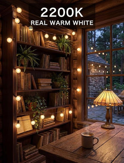SUNSGNE 25Ft Outdoor Edison String Lights G40 Globe String Lights with 27 Frosted White Bulbs, Waterproof Connectable Hanging String Light for Christmas Patio House Backyard Balcony Party, Brown Wire
