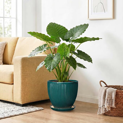 10 Inch Flower Pot, Round Ceramic Planters for Indoor Plants, Decorative Plant Pots with Drainage Hole and Saucer, Modern Large Planter, Office Decor, House Warming Gifts, Blackish Green