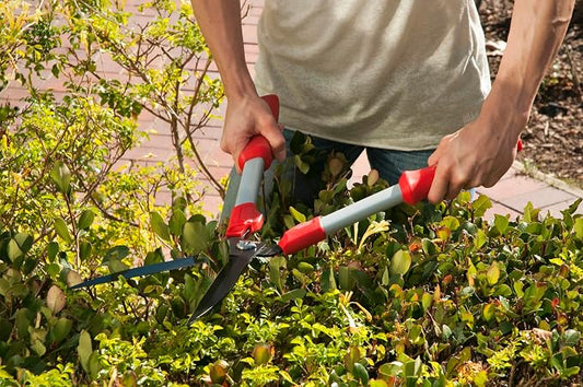 Corona HS3244 Comfortgel Hedge Shear, 9" Blade