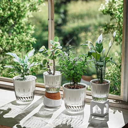 6 Inch Self Watering Pots for Indoor Plants, 2 Pack Self Watering Planter, Self Watering Pot with Reservoir, Clear Self Watering Pots for Indoor Plants, African Violets (2 Pack, 6", Clear)