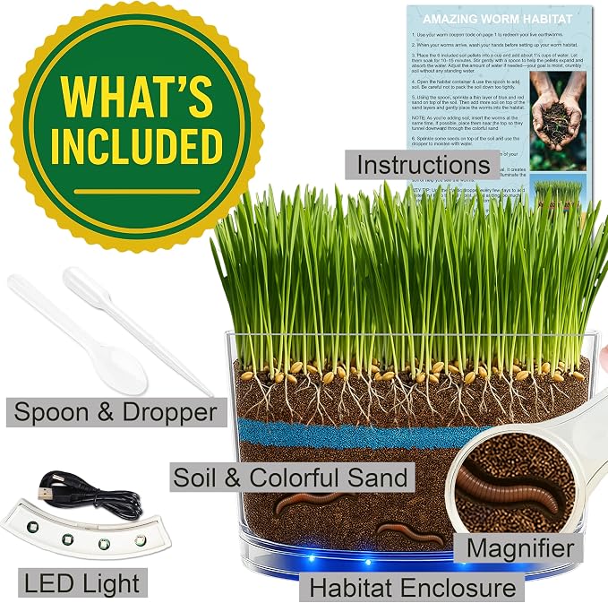 ES EVVIVA SCIENCES Worm Habitat Kit - Transparent Ecosystem Learning Container for Worm Observation and Soil Layer Studies - Composting Science Projects and Lab Use - Intended for Ages 15 & Older