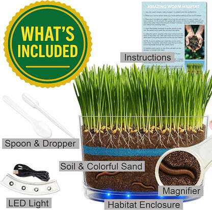 ES EVVIVA SCIENCES Worm Habitat Kit - Transparent Ecosystem Learning Container for Worm Observation and Soil Layer Studies - Composting Science Projects and Lab Use - Intended for Ages 15 & Older