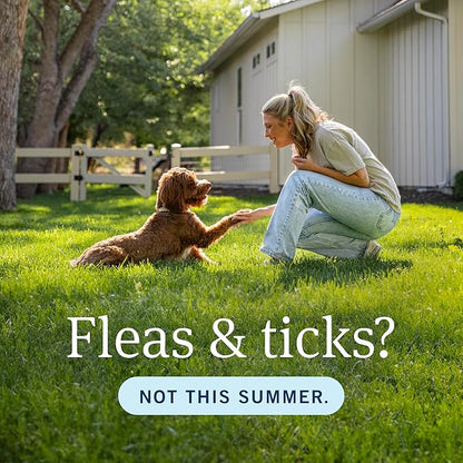 PETARMOR Home Carpet Powder for Fleas and Ticks, Protect Your Home From Fleas and Deodorizes Carpets, 16 Ounce