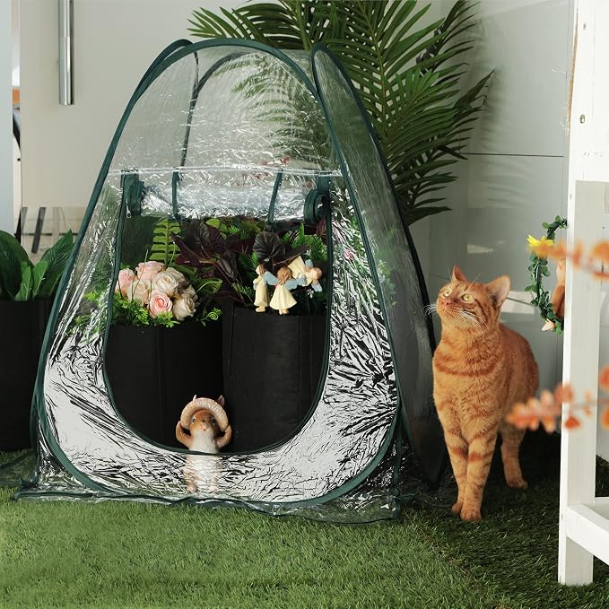 Gardzen 2-Pack 27"x27"x31" Pop up Grow Greenhouse Small Greenhouse, Steel Frame Portable Plant Flowers Mini Green House Zipper Cover for Outdoor & Indoor Use