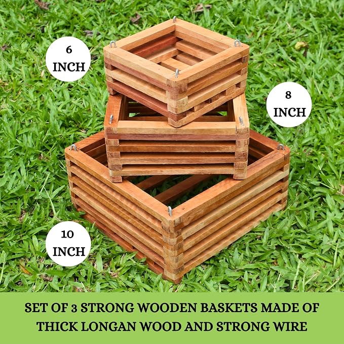 Set of 3 Strong Wooden Orchid Baskets with Hangers, Vanda Baskets for Outside