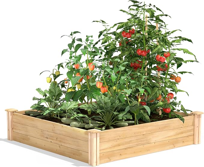 Greenes Fence Premium Cedar Raised Garden Bed, 4' x 4' x 10.5" (3/4" Thick) (2-Pack) - Made in USA with North American Cedar