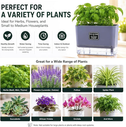 Self Watering Planters 4 Pack, 7 Inch Rectangle Plant Pots with Visible Water Reservoir, Indoor Outdoor Herb Planter Boxes for Windowsill，African Violets，Succulents，Flowers，Kitchen，Office，Balcony Gray