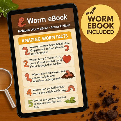ES EVVIVA SCIENCES Worm Habitat Kit - Transparent Ecosystem Learning Container for Worm Observation and Soil Layer Studies - Composting Science Projects and Lab Use - Intended for Ages 15 & Older