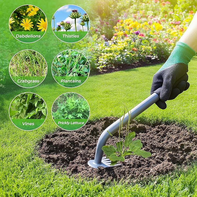 Walensee Weed Puller Tool - Durable Weeding Tool for Dandelions & Crabgrass | Manganese Steel 5-Tine Head, Ergonomic Rubber Grip, Efficient Uprooting, Ideal for Vegetable Gardens & Backyards