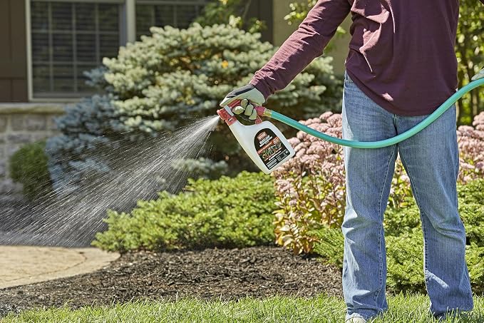 Ortho BugClear Insect Killer for Lawns & Landscapes Ready-to-Spray (3-Pack) | Kills Periodical Cicadas, Mosquitoes, Ants, Spiders, Fleas, Ticks and More