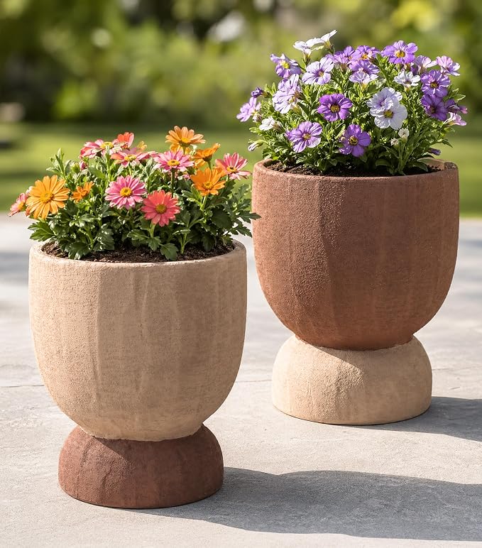 DREAMLOOM 2Pcs Flower Planters with Holes, 6.4Inch Classic Vintage Terracotta & Coarse-Grained Pots for Succulents, Bonsai, Cactus Aloe, Herbs, Orchid
