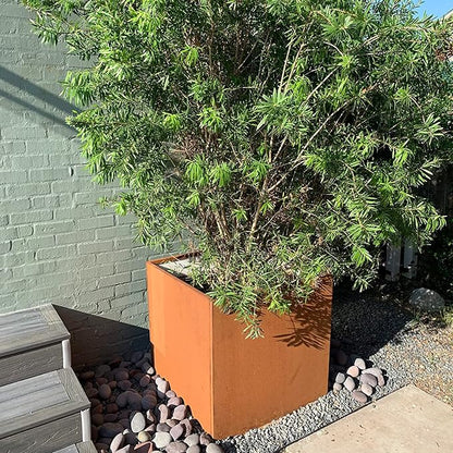 Corten Steel Planter Box Outdoor Planter Metal Square 20 Inch Large Steel Planter Box Rustic Cube Patina Tall Plant for Commercial Residential Plants Patio Yard Garden
