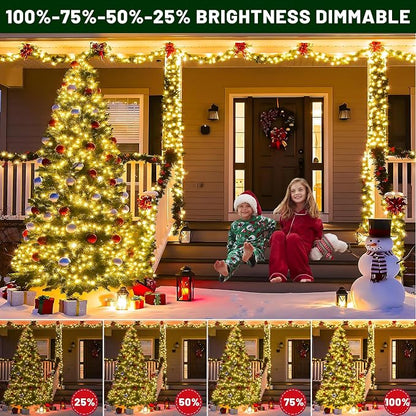 100FT 300 LED Color Changing Christmas Lights, Warm White & Multicolor Christmas Tree Lights with Remote, Waterproof String Light for Outside Indoor Home Patio Yard Party Garden Holiday Decorations