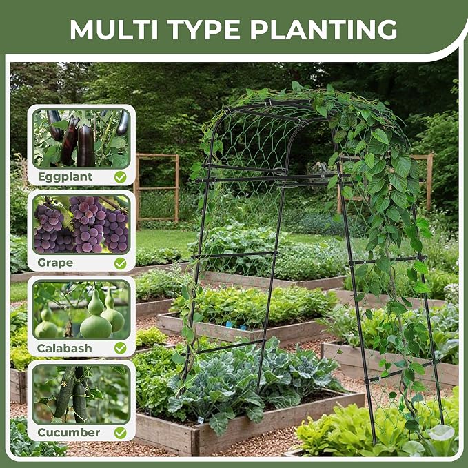 AlisisFores Garden Arch Plant Trellis for Climbing Plants Outdoor, Grape Trellis Metal, Cucumber Trellis for Raised Bed, Arbor Trellis Plant Support Flower Vegetables,Tomato Black,6.7FT Rust-Proof
