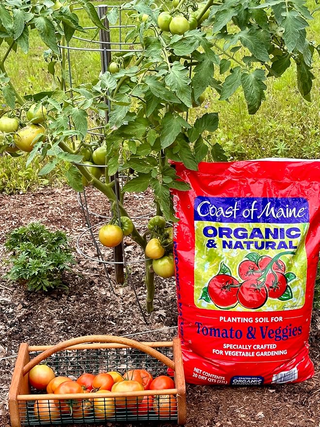 Coast of Maine Organic & Natural Planting Soil for Vegetables & Tomatoes - Premium Planting Soil w/ Composted Manure, Sphagnum Peat Moss for Multi Use Ground & Containers - Enhanced Drainage (20 Qt)