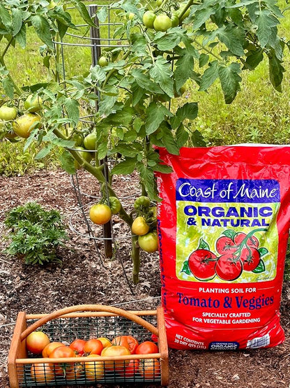 Coast of Maine Organic & Natural Planting Soil for Vegetables & Tomatoes - Premium Planting Soil w/ Composted Manure, Sphagnum Peat Moss for Multi Use Ground & Containers - Enhanced Drainage (20 Qt)