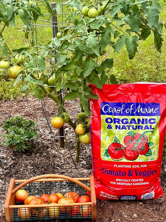 Coast of Maine Organic & Natural Planting Soil for Vegetables & Tomatoes - Premium Planting Soil w/ Composted Manure, Sphagnum Peat Moss for Multi Use Ground & Containers - Enhanced Drainage (20 Qt)