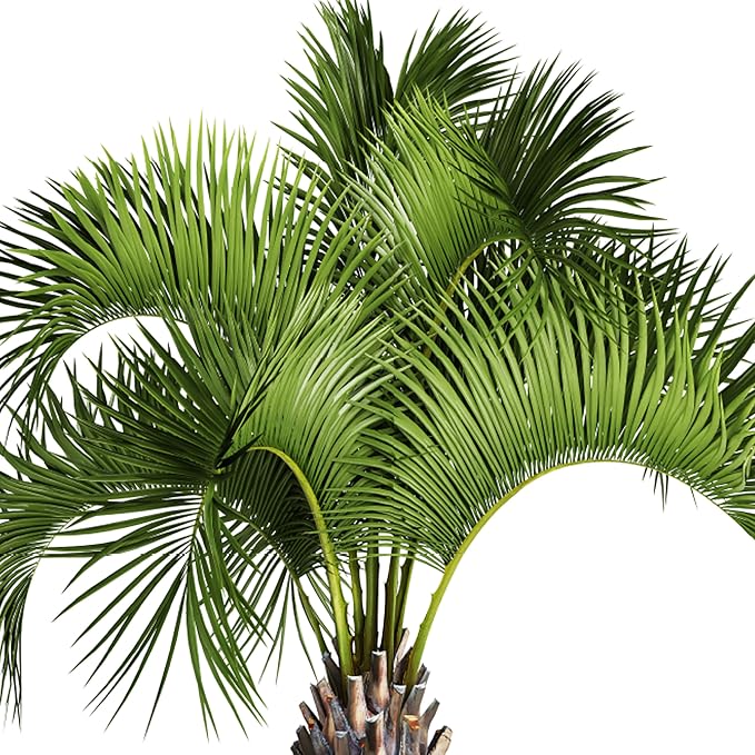 Jobe’s Organics Granular Fertilizer, Organic Fertilizer for Palm Trees and Plants, 4 lbs Bag (Pack of 6)