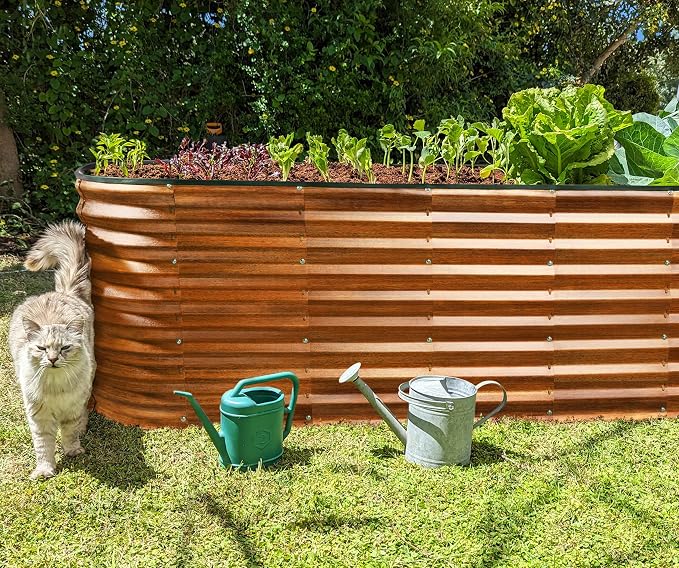 Plant & Plot Galvanized Raised Garden Beds Outdoor // 6×2×2 ft Planter Raised Beds for Gardening, Vegetables, Flowers (Dark Wood Grain) // Large Metal Garden Box // Patented Tool-Free Design