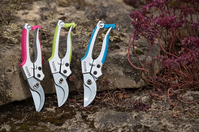 Spear & Jackson 56526G Colours Green Bypass Pruners