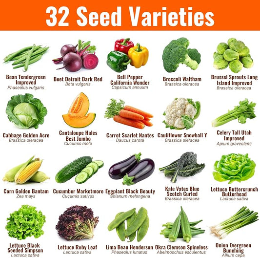 Vegetable & Fruit Seeds | 32 Individual Packs | 2026 Season | Non-GMO, High Yield - 15,000+ Seeds | Tomato, Cucumber, Zucchini, Bell Pepper and More | for Indoor & Outdoor Garden Planting