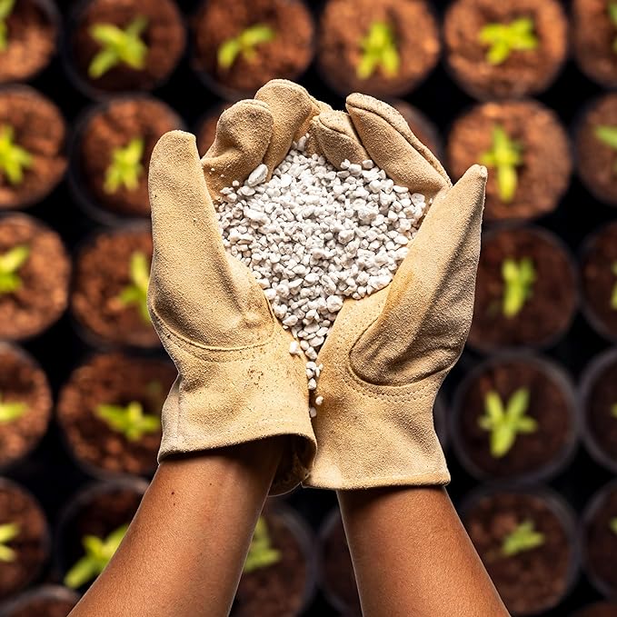 Perlite Bliss (16 Qts) - Organic Perlite for Plants Indoor Soil Amendment - Horticultural Perlite for Gardening & Seed Starting - Mixes Easily with Potting Soil, Vermiculite, & Coco Coir for Plants