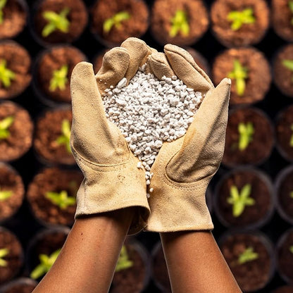 Perlite Bliss (24 Qts) - Organic Perlite for Plants Indoor Soil Amendment - Bulk Perlite for Gardening & Seed Starting - Mixes Easily with Potting Soil, Vermiculite, & Organic Coco Coir for Plants