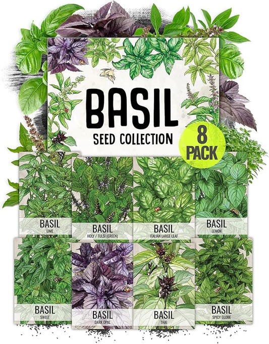 Seed Needs Basil Seeds Variety Pack of 8 Herbs for an Indoor Outdoor Garden