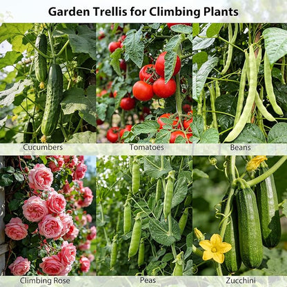 Miory Cucumber Trellis, 63" Tall U Shape Trellis for Raised Bed, Garden Arch Trellis for Climbing Plants Outdoor, Plant Support for Vegetables Vines, Steel with PE Coated (48“Lx32”Wx63“H)