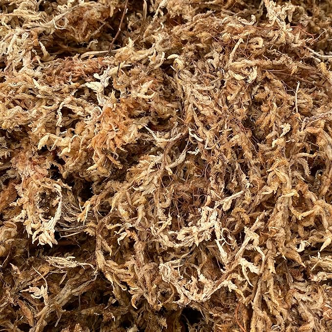 Better-Gro Premium Grade Orchid Moss - 100% Natural, Imported Sphagnum Moss for Orchids, Ferns, and Hostas, Excellent for Hanging Baskets and Propagating Plants - 190 Cubic Inches