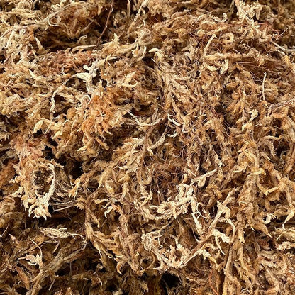 Better-Gro Premium Grade Orchid Moss - 100% Natural, Imported Sphagnum Moss for Orchids, Ferns, and Hostas, Excellent for Hanging Baskets and Propagating Plants - 190 Cubic Inches