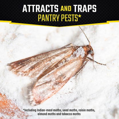 Black Flag Pantry Pest Trap 2 Count, Insect Traps, Safe for Use in Kitchens and Pantries, 3 Pack