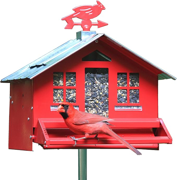 Perky-Pet Squirrel-Be-Gone II Country Style Bird Feeder, 8 lb Seed Capacity | Weight-Activated, Squirrel Proof, Metal Construction, Rust Resistant, Locking Lid, Removable Roof, Adjustable Settings, 338