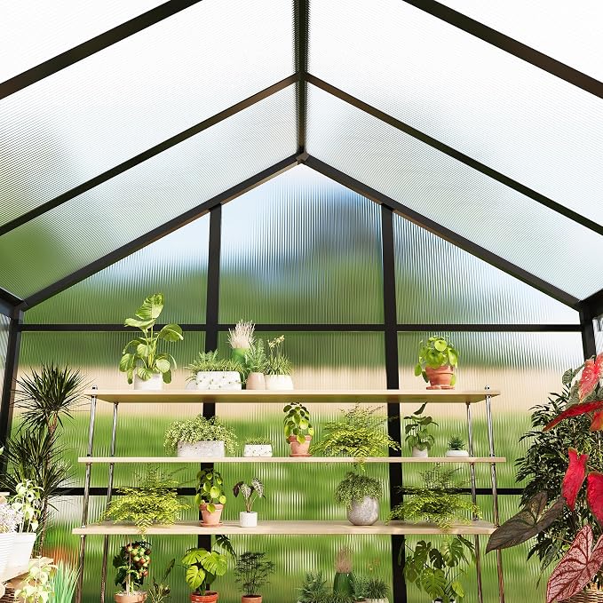 6X10 Ft Polycarbonate Greenhouse Sunroom with Aluminum Frame, Outdoor Greenhouse for Vegetables Herbs Flowers, Lockable Door & Adjustable Roof Vent, Patio Backyard Greenhouse Kit for Gardening, Black