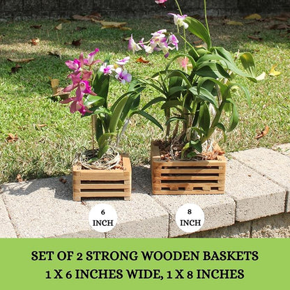 Set of 2 Wooden Orchid Baskets with Hangers, Hanging Vanda Baskets for Outside