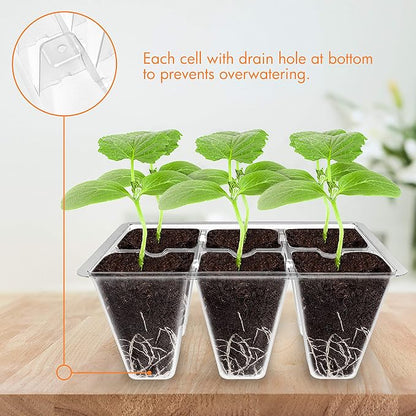 Gardzen 20 Pack Seed Starting Tray, Plant Germination Trays, Seed Starter Kit with Adjustable Humidity Vented Dome, Plant Growing Kit 6.6" x 4.5", Total 240-Cell, Clear