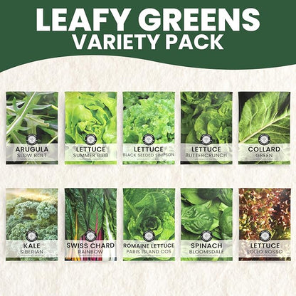 Leafy Greens Seeds | 10 Individual Packs | 2026 Season | Non-GMO | Lettuce, Kale, Spinach, Arugula & More! | for Planting Indoor & Outdoor | by Family Sown