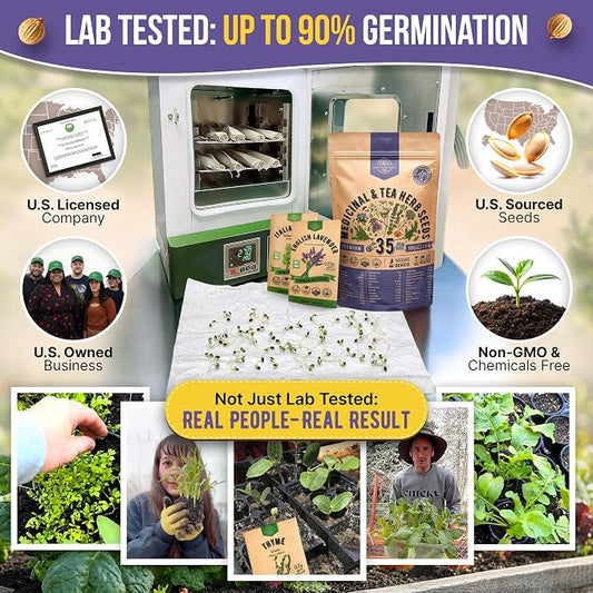 35 Medicinal & Tea Herb Seeds Variety Pack for Indoor & Outdoors. 16,335+ Non-GMO Heirloom Garden Seeds: Anise, Bergamot, Borage, Cilantro, Chamomile, Dandelion, Rosemary Seeds & More