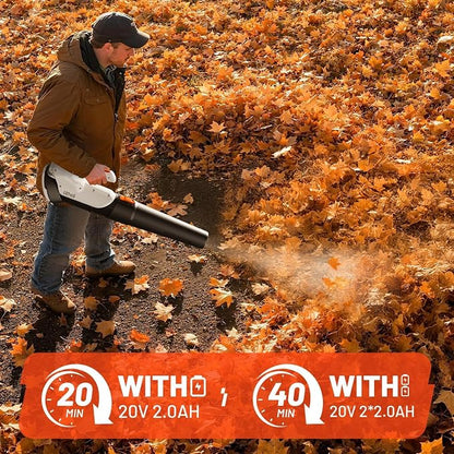 Litheli Cordless Leaf Blower with 2 Batteries (Works as Portable Power Bank), Ultra-Lightweight Electric Blower for Driveways, Patios & Decks, 2-Speed 350CFM for Dry Leaves, Dust & Car Drying