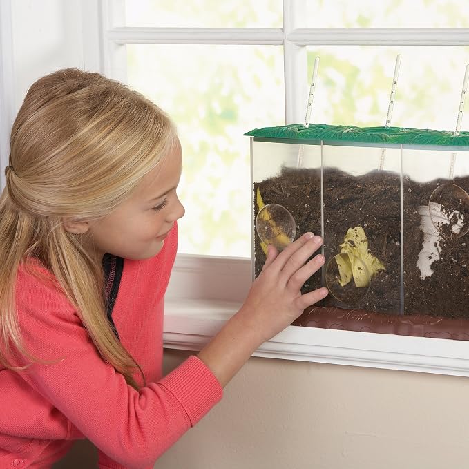 Educational Insights See-Through Compost Container - STEM Kits for Kids, Homeschool or Classroom Earth Science Kit, Practice Observation & Learn about Nature, Science Experiments for Kids Ages 4+