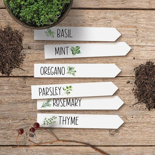 P. Graham Dunn Herbs White 6.5 x 1 Acrylic Plant Pal Garden Signs Set of 6