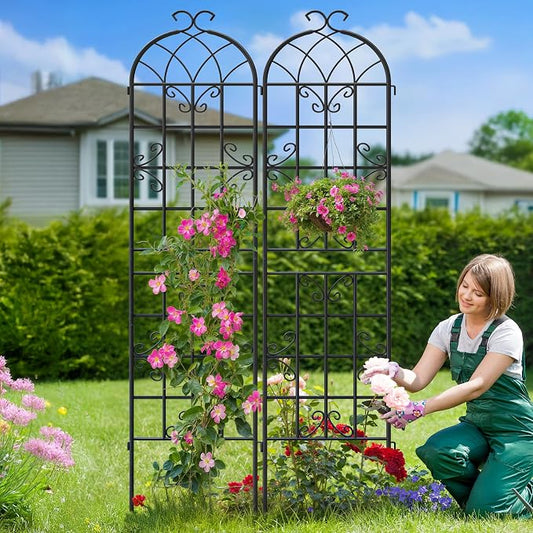 4-Pack 87" x 20" Butterfly Arch Black Metal Garden Trellises | Four rust-resistant metal trellises with butterfly arches, scrollwork, stakes, and support for roses, vines, or vegetables