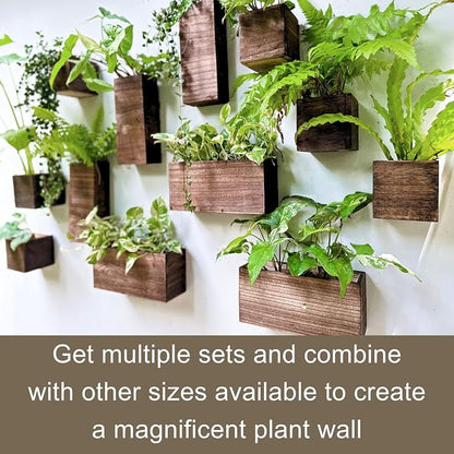 LaLaGreen Wood Planter Box for Plants (6 Pack) Wall Planters for Indoor | Wooden Box Indoor Plant Holder Vase for Dried Flowers, Modern Farmhouse Decor Living Room Bedroom Kitchen Office Home Garden